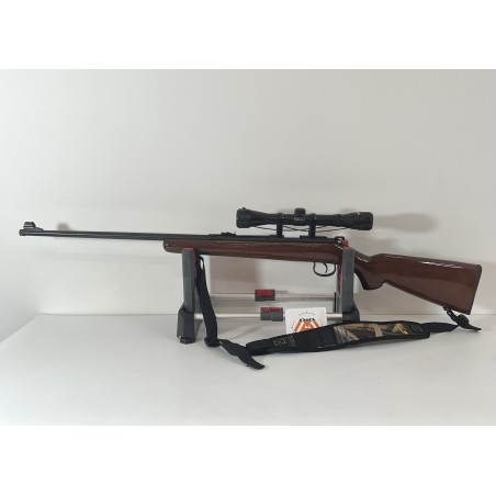 Carabine 22LR Artisan stéphanois avec lunette 4x32