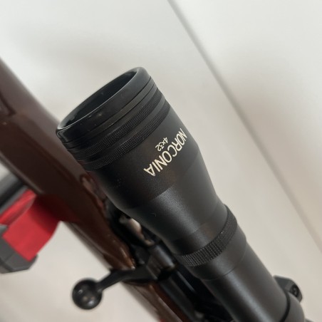 Carabine 22LR Artisan stéphanois avec lunette 4x32