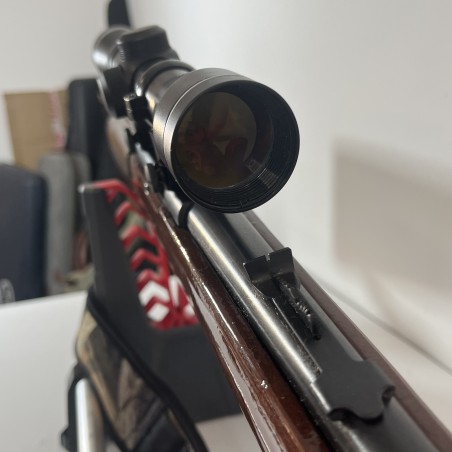 Carabine 22LR Artisan stéphanois avec lunette 4x32