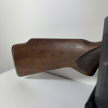 Carabine Marlin 25 M Calibre 22 Win Mag