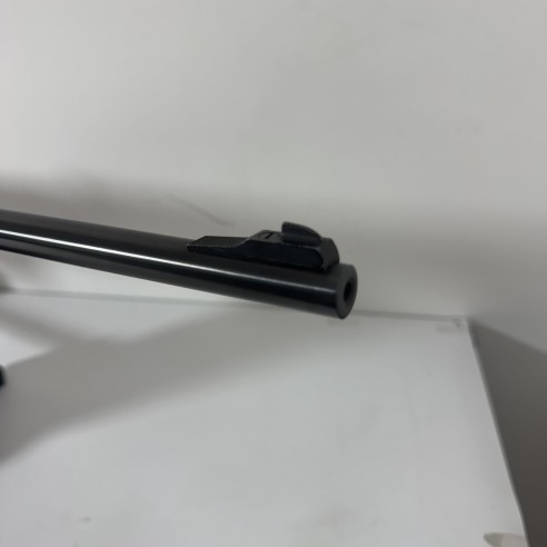 Carabine Marlin 25 M Calibre 22 Win Mag