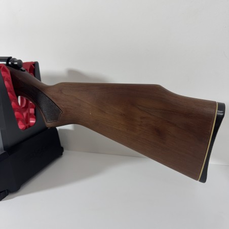 Carabine Marlin 25 M Calibre 22 Win Mag