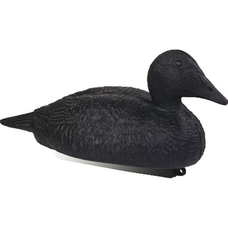 Appelant Eider Noir