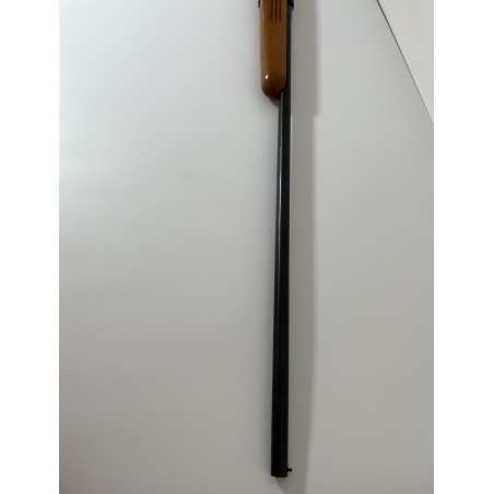 Carabine Monocoup 12mm